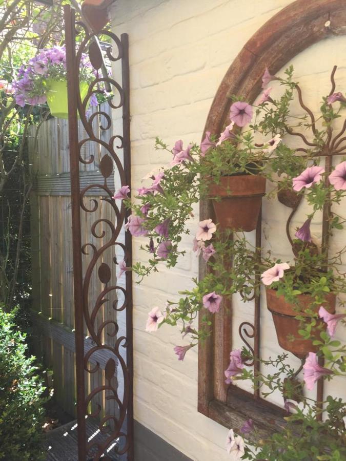 B&B Het Colettientje Brugge Dış mekan fotoğraf